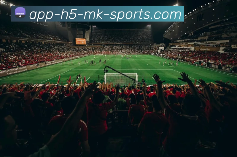 MK体育平台生态图